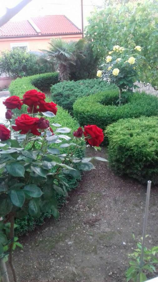 Apartmani Misak Vrsi Bagian luar foto